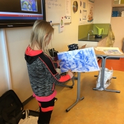 Groep 5-6